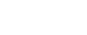 FiscoAI